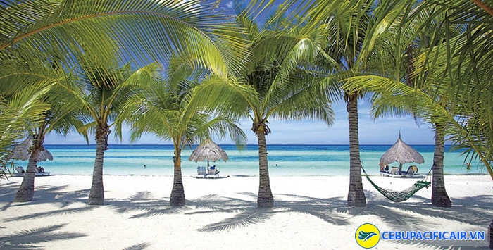 Cebu nổi tiếng với biển xanh, cát trắng và những hàng dừa chạy dài thẳng tắp