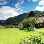 Ghé thăm làng cổ Shirakawa xinh đẹp