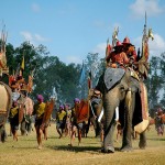 Lễ hội voi Surin nổi tiếng ở Thái Lan