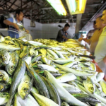 Thưởng thức hải sản tại chợ cá Jerudong