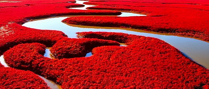 Biển Đỏ Trung Quốc