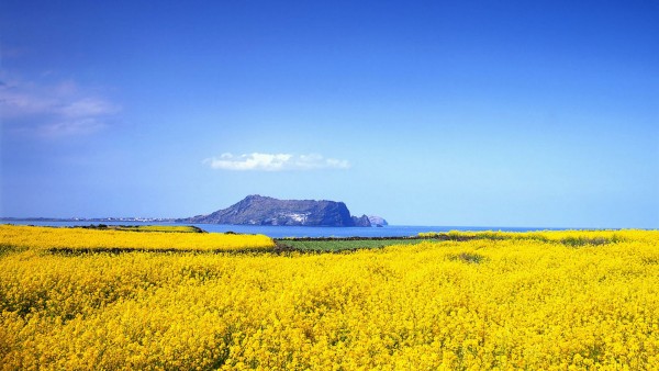 Jeju-island