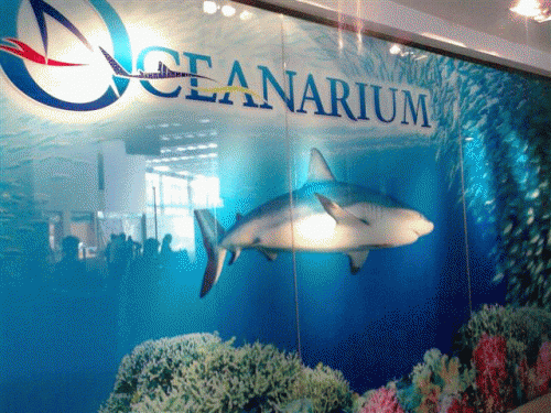 oceanarium-lobby