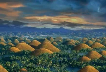 Du khách không thể bỏ qua Chocolate Hills khi du lịch Philippines