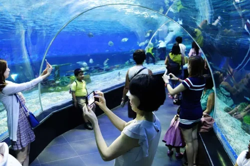 Công viên hải dương Manila Ocean Park