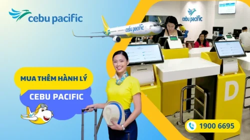 Mua thêm hành lý Cebu Pacific