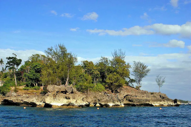 Đảo Cá Sấu Boracay